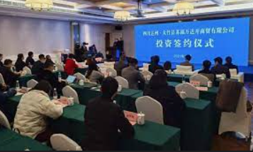 2号站娱乐测速,2号站测速官网