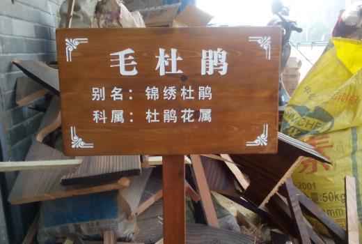 2号站平台注册登录,2号站登录地址