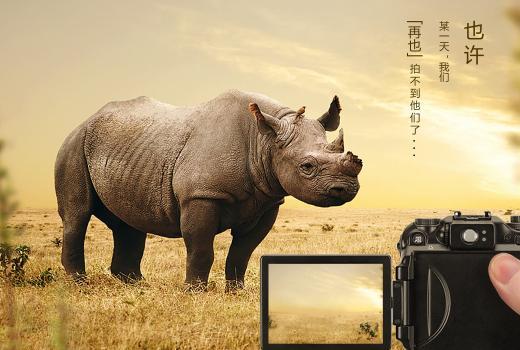 2号站还是杏鑫?,加入2号站