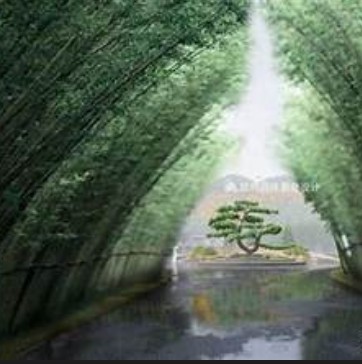 2号站测速,2号站网址