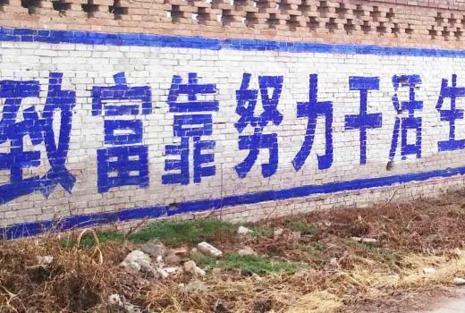 2号站平台登陆,2号站登录