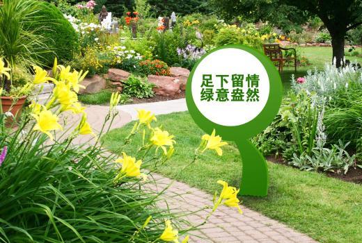 2号站测速登录,2号站彩官网